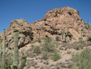photo thumbnail #3