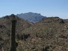 photo thumbnail #6
