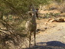 photo thumbnail #12