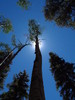 photo thumbnail #12