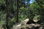 photo thumbnail #2