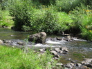 photo thumbnail #12