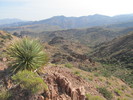 photo thumbnail #2