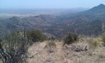 photo thumbnail #12