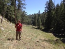 photo thumbnail #4