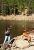 photo thumbnail #5