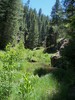 photo thumbnail #15