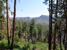 photo thumbnail #6