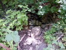 photo thumbnail #9