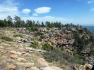 photo thumbnail #15