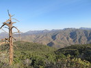 photo thumbnail #1