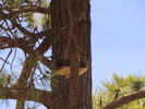 photo thumbnail #11