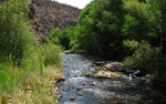 photo thumbnail #7