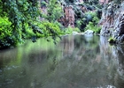photo thumbnail #9