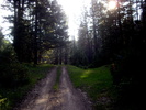 photo thumbnail #2