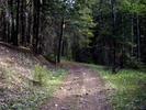 photo thumbnail #9