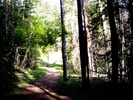 photo thumbnail #10