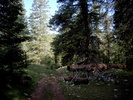 photo thumbnail #12
