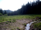 photo thumbnail #14