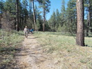 photo thumbnail #9