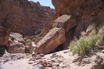 photo thumbnail #13