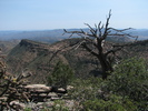 photo thumbnail #12