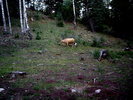 photo thumbnail #5