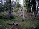 photo thumbnail #6