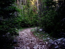 photo thumbnail #2