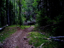 photo thumbnail #5