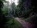 photo thumbnail #6