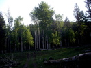 photo thumbnail #8