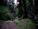 photo thumbnail #9