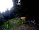 photo thumbnail #12