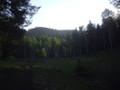 photo thumbnail #13