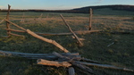photo thumbnail #3