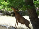 photo thumbnail #3