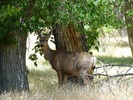 photo thumbnail #5