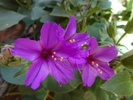 photo thumbnail #7