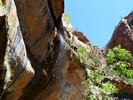photo thumbnail #10