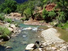 photo thumbnail #11