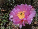 photo thumbnail #15