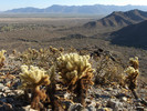 photo thumbnail #4