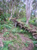 photo thumbnail #9