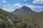 photo thumbnail #7
