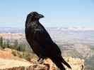 Featured Full Photo