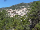 photo thumbnail #6