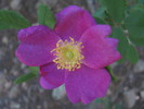 photo thumbnail #7