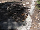 photo thumbnail #13