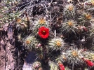 photo thumbnail #12